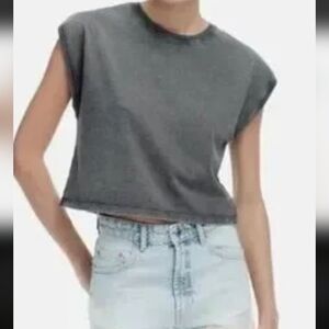 Zara Gray Crop Top